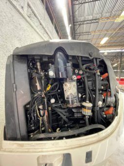 
										PAREJA MOTORES EVINRUDE 175 HP full									