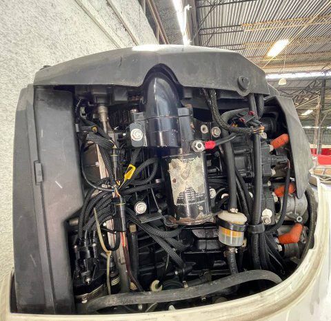 
								PAREJA MOTORES EVINRUDE 175 HP full									