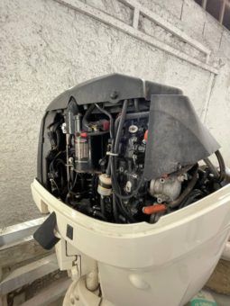
										PAREJA MOTORES EVINRUDE 175 HP full									