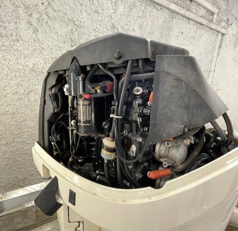 
								PAREJA MOTORES EVINRUDE 175 HP full									