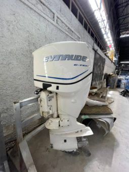 
										PAREJA MOTORES EVINRUDE 175 HP full									