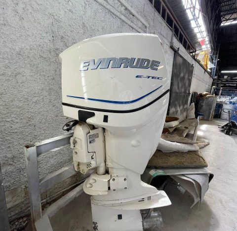 
								PAREJA MOTORES EVINRUDE 175 HP full									