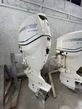 PAREJA MOTORES EVINRUDE 175 HP