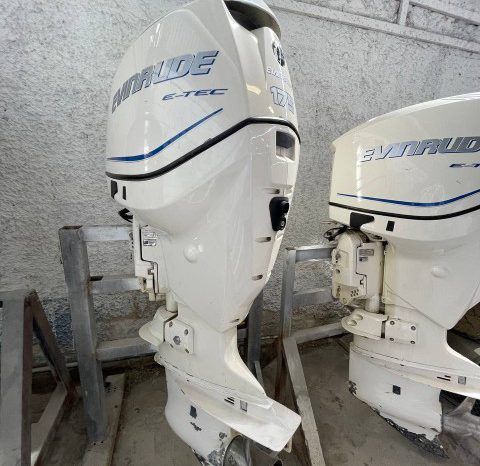 
								PAREJA MOTORES EVINRUDE 175 HP full									