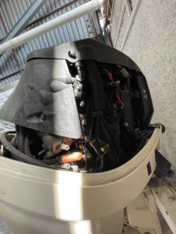 
										PAREJA MOTORES EVINRUDE 175 HP full									