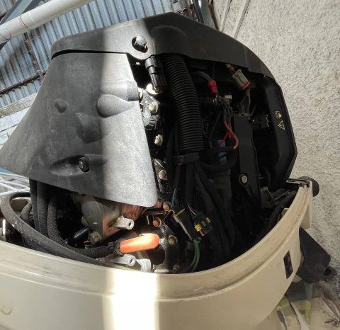 
								PAREJA MOTORES EVINRUDE 175 HP full									