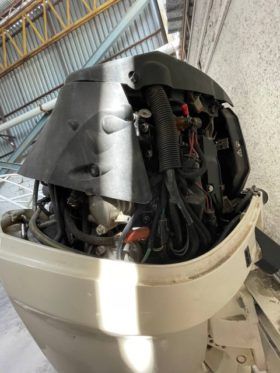 PAREJA MOTORES EVINRUDE 175 HP