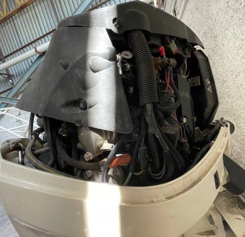 
								PAREJA MOTORES EVINRUDE 175 HP full									