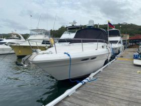 SEA RAY SUNDANCER 34