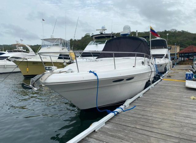 
								SEA RAY SUNDANCER 34 full									