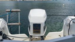 
										GLASTRON 24 full									