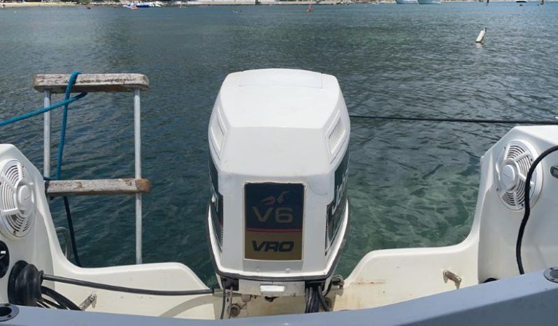 
								GLASTRON 24 full									