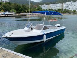 
										GLASTRON 24 full									