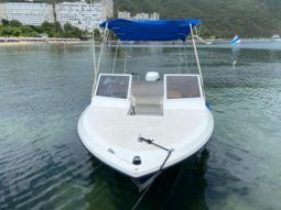 
										GLASTRON 24 full									