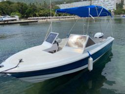 
										GLASTRON 24 full									