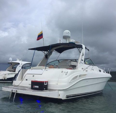 
								SEA RAY SUNDANCER 34 full									