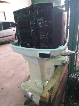 
										PAREJA MOTORES EVINRUDE 175HP full									