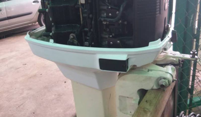 
								PAREJA MOTORES EVINRUDE 175HP full									