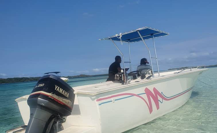 
								PROFINA OPEN 24 full									