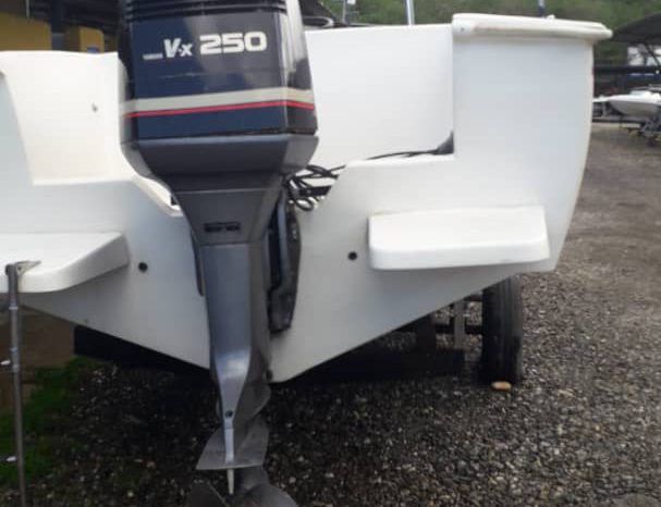 
								PROFINA OPEN 24 full									