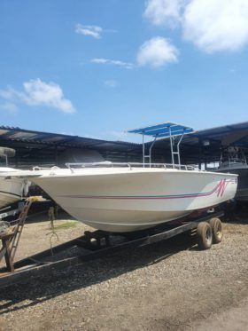 PROFINA OPEN 24