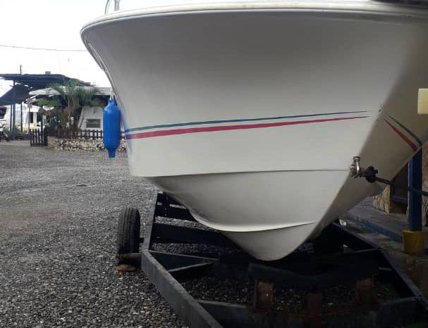 
								PROFINA OPEN 24 full									