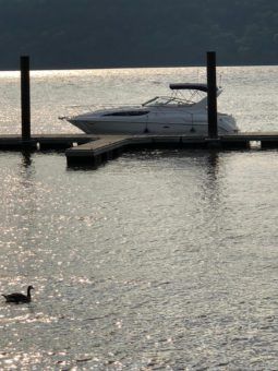 
										BAYLINER CIERA 3055 30 full									