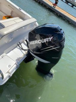 
										INTERMARINE OPEN 24 full									