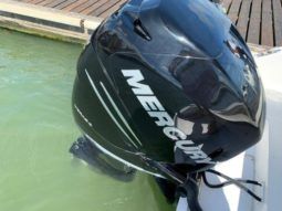 
										INTERMARINE OPEN 24 full									