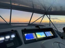 
										VIKING SPORT 61.8 full									