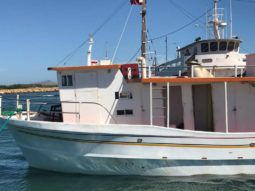 
										BARCO DE CARGA 15.83MTS full									