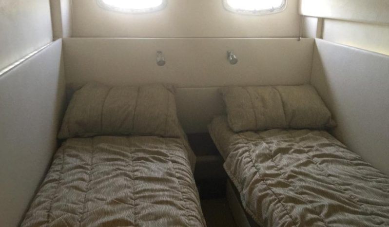 
								SEA RAY SUNDANCER 47 full									
