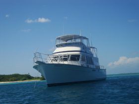 TOLLYCRAFT CLASSIC 48