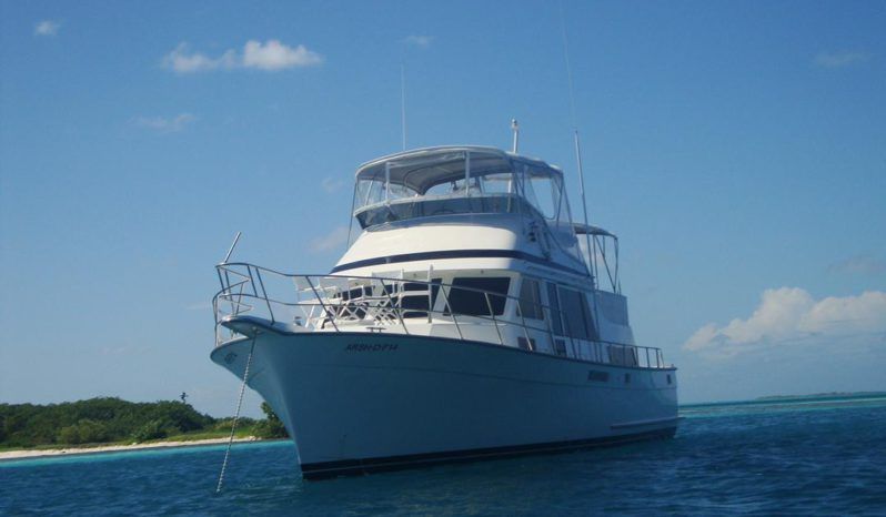
								TOLLYCRAFT CLASSIC 48 full									