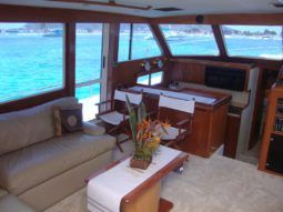 
										TOLLYCRAFT CLASSIC 48 full									