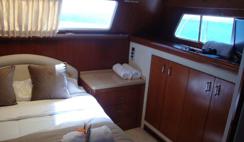 
								TOLLYCRAFT CLASSIC 48 full									