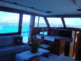 TOLLYCRAFT CLASSIC 48