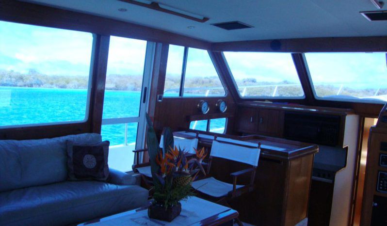 
								TOLLYCRAFT CLASSIC 48 full									
