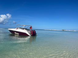 INTERMARINE AVANTI 35 full