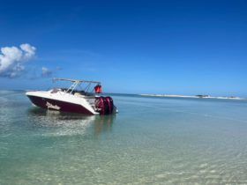 INTERMARINE AVANTI 35