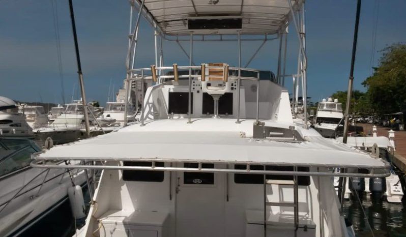 
								HATTERAS SPORT FISHERMAN 42 full									
