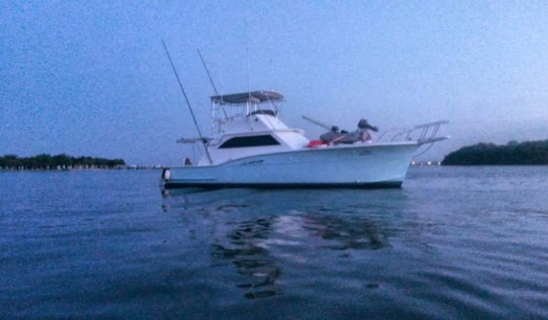 
								HATTERAS SPORT FISHERMAN 42 full									