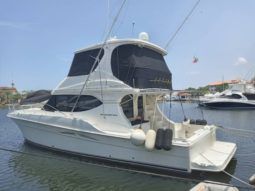 
										SILVERTON CONVERTIBLE 50 full									