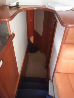 
										SILVERTON CONVERTIBLE 50 full									