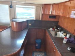 
										SILVERTON CONVERTIBLE 50 full									