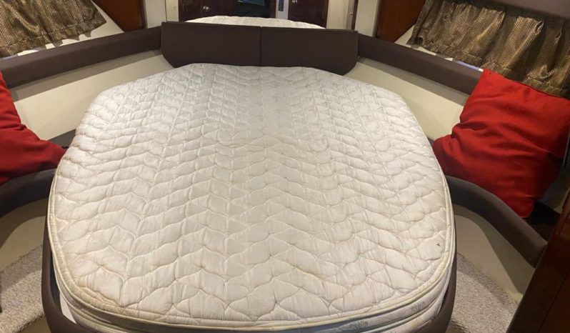 
								MERIDIAN YACHTS 391 SEDAN BRIDGE 39 full									