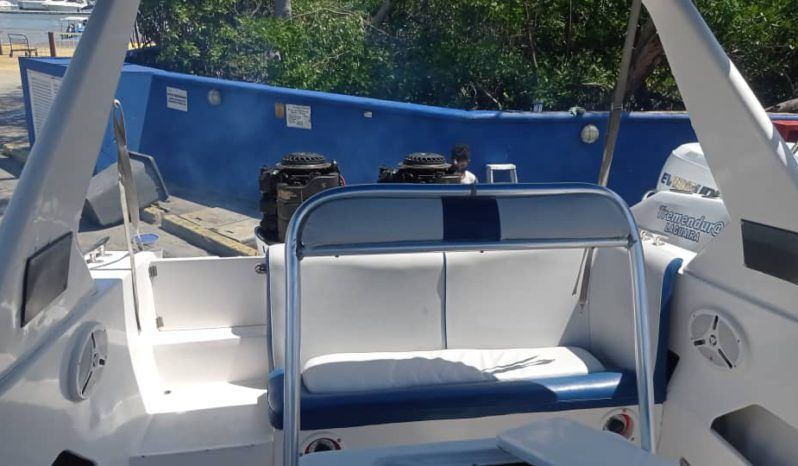 
								INTERMARINE Z29 29 full									