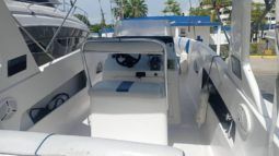 
										INTERMARINE Z29 29 full									