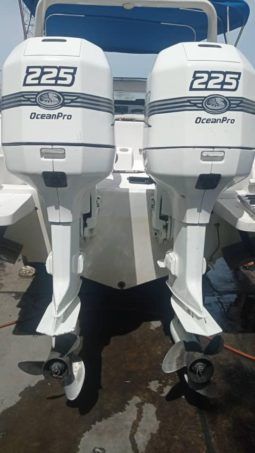
										INTERMARINE Z29 29 full									