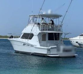 HATTERAS 50